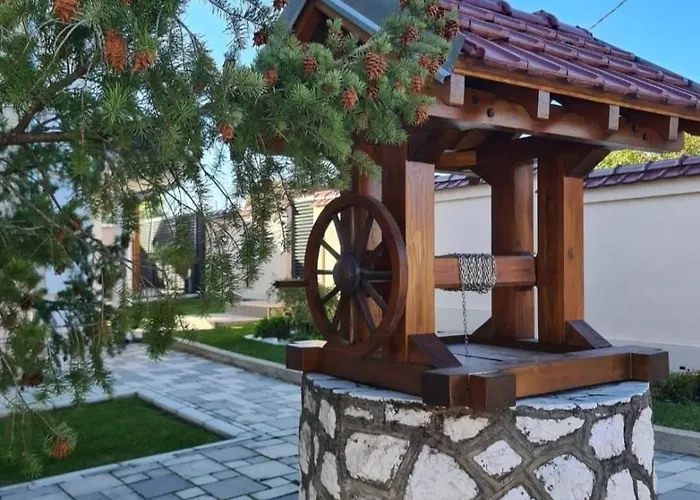 Gracija 阿然德洛维克